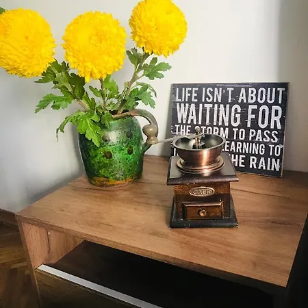 Apartment Bugarski *
